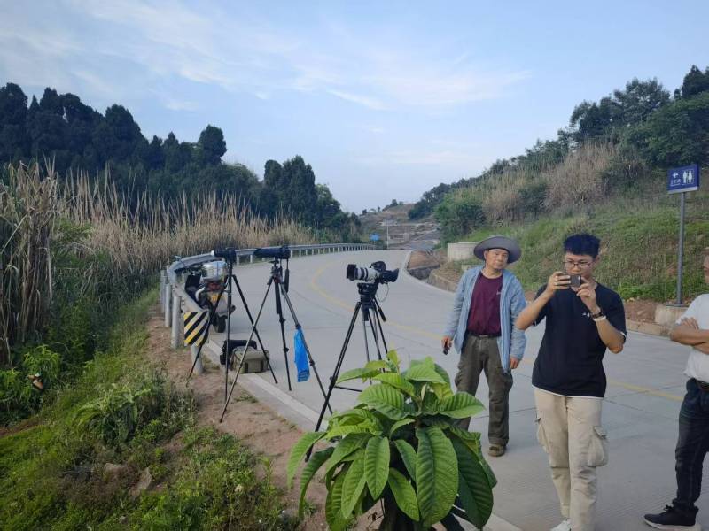 岐山县电商产品视频拍摄制作：如何打造高转化的电商视觉内容？